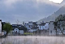 [田径]2025奉化马拉松鸣枪开跑.